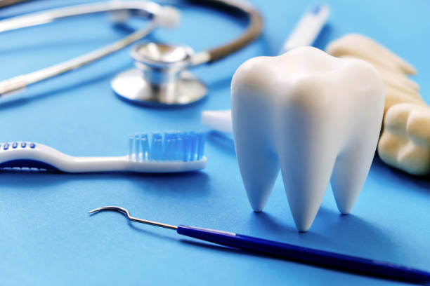Dental tooth model